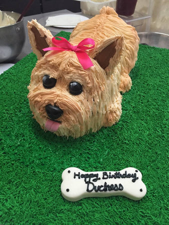 Yorkshire terrier in a gift box... - Princess Cakes Dubai | Facebook