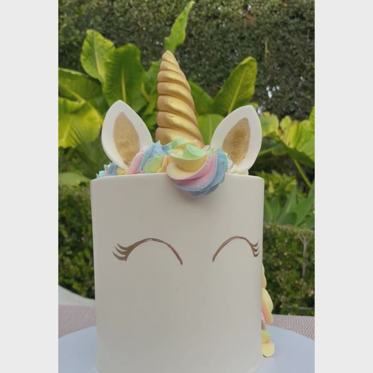 Buttery Smooth Rainbow Unicorn Celebration Extra Plus Size
